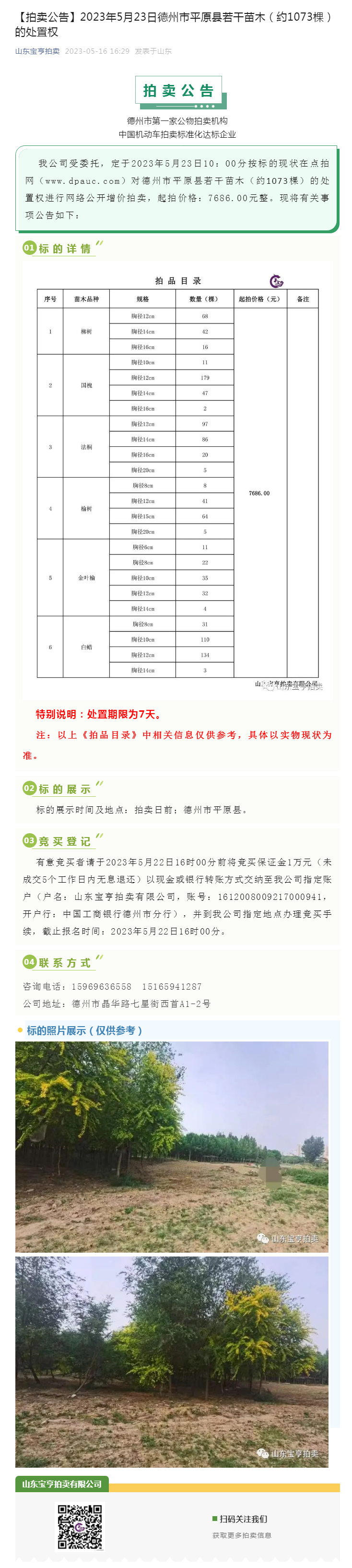 【拍賣公告】2023年5月23日德州市平原縣若干苗木（約1073棵）的處置權副本.png